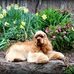 David Eubanks - Facebook