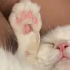มุเดฟ - @dave.everyday - TikTok