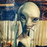 Dave Digirolamo - @daveewald_number0 - Instagram
