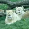 daveewald248 - @daveewald248 - TikTok
