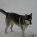 David Ewald - Facebook