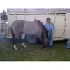 Dave Ewers - @dave.ewers - TikTok