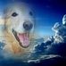 Dave Fahey - Facebook