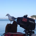 Dave Falconer - @alcatraz5768 - Instagram