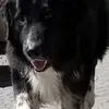 Dave Farrell - @dave.farrell - TikTok