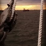 Dave Faulkner - @davefaulkner2017 - Instagram