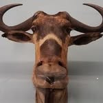 dave faulkner - @dave4kner - Instagram