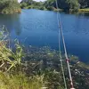 Dave Faulkner - @davefaulkner7 - TikTok