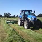 Dave Faulkner - @faulkner7777 - Instagram
