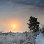 Dave Faulkner - @wildaboutphotos.co.uk - Instagram