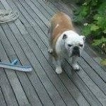 Dave Feeney - @feeney_dave - Instagram