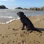 Dave Feeney - @davefeeney16 - Instagram