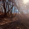 Dave Fehr619 - @dave.do.it - TikTok