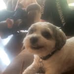 Dave Fehr - @daveyjones_xx - Instagram
