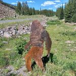 Dave Fender - @dfendergj - Instagram