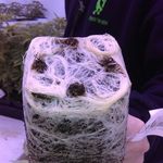 Dave Ferber - @daveferber - Instagram