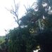 Jorence Dave Gonzales Ferrer - Facebook