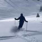 Dave Feroleto - @daveferoleto - Instagram
