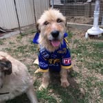 Dave Ferrier - @daveferrier100 - Instagram