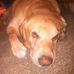 Dave Ferries - Facebook