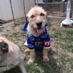 Dave Ferrier - @daveferrier100 - Instagram