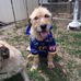 Dave Ferrier - Facebook