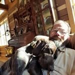 Dave Ferry - @dave.ferry - Instagram