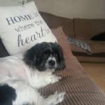 David Fielding - @davefielding29 - Instagram