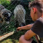 David Fillinger - @davefill13 - Instagram