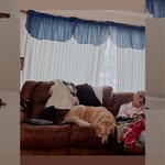 Dave Finders - @findersdave - Instagram