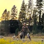 Dave Findley - @dfindley_13 - Instagram