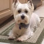 David Fine - @davefinesmile - Instagram