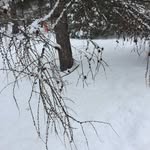 David Lidbetter Fine Art - @david_lidbetter_fine_artone01 - Instagram