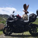 Dave Fleetwood - @dave.fleetwood.18 - Instagram