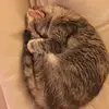 daveflint845 - @daveflint845 - TikTok