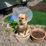 Dave Flower - @daveflowe - Instagram