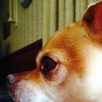 Dave Flowers - @daveaflowers - Instagram