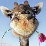 Dave Forbes - @life_should_be_fragrant - Instagram