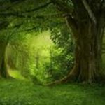 Forgether Dave - @daveforgether - Instagram