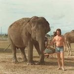 Dave Forster - @forster3726 - Instagram