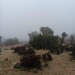 Dave Forsyth - @timetraveler_30s_ - Instagram