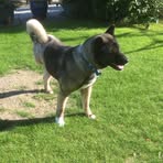 Dave Forsyth - Facebook