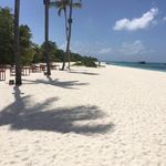 David Forsyth - @_david_forsyth_ - Instagram