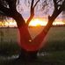 David Fort - Facebook
