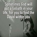 dave forte - @forte7872 - Instagram