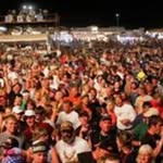 Dave Frame - @lddavef - Instagram