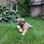 Dave Frame - @dave.frame - Instagram