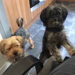 Dave & Fred - @daveandfred_19 - Instagram