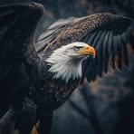 Dave Frederick Tuto - Facebook