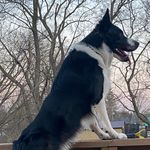 Dave Brown - @dave_fredrick - Instagram